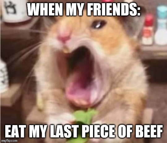 Hamster ate chilli | WHEN MY FRIENDS:; EAT MY LAST PIECE OF BEEF | image tagged in hamster ate chilli | made w/ Imgflip meme maker