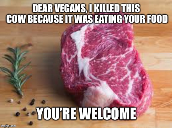 You’re welcome, Vegans | DEAR VEGANS, I KILLED THIS COW BECAUSE IT WAS EATING YOUR FOOD; YOU’RE WELCOME | image tagged in cow,steak,vegans | made w/ Imgflip meme maker