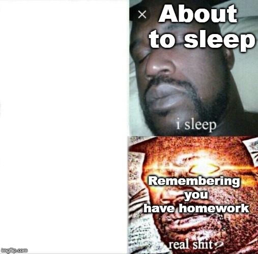 Sleeping Shaq | About to sleep; Remembering you have homework | image tagged in memes,sleeping shaq | made w/ Imgflip meme maker
