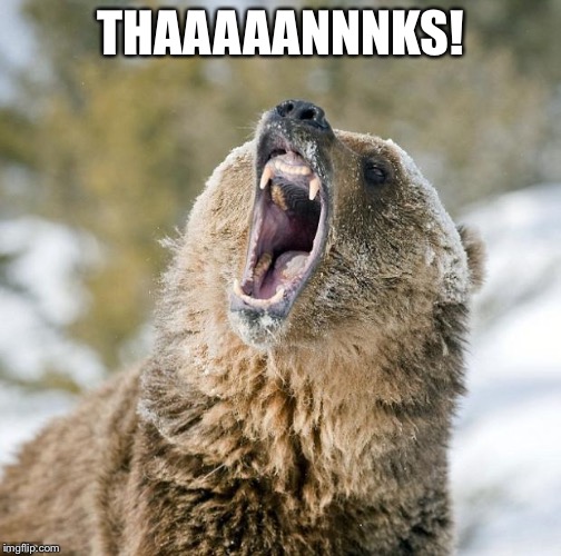 Grizzly Bear | THAAAAANNNKS! | image tagged in grizzly bear | made w/ Imgflip meme maker