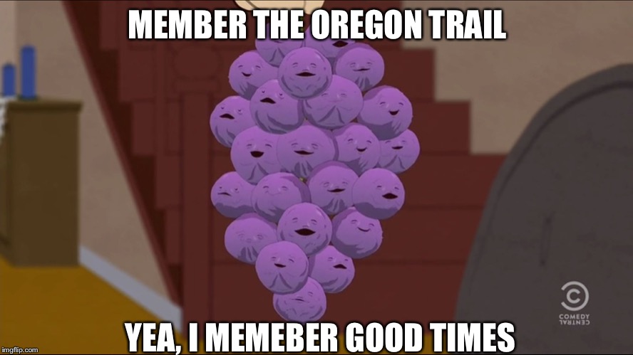 Member the Oregon trail | MEMBER THE OREGON TRAIL; YEA, I MEMEBER GOOD TIMES | image tagged in memes,member berries | made w/ Imgflip meme maker