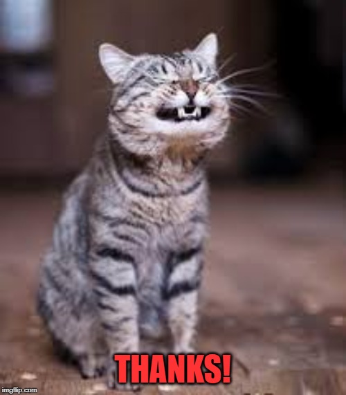 smiling cat | THANKS! | image tagged in smiling cat | made w/ Imgflip meme maker