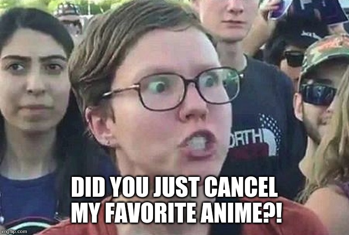 Triggered Liberal | DID YOU JUST CANCEL MY FAVORITE ANIME?! | image tagged in triggered liberal | made w/ Imgflip meme maker