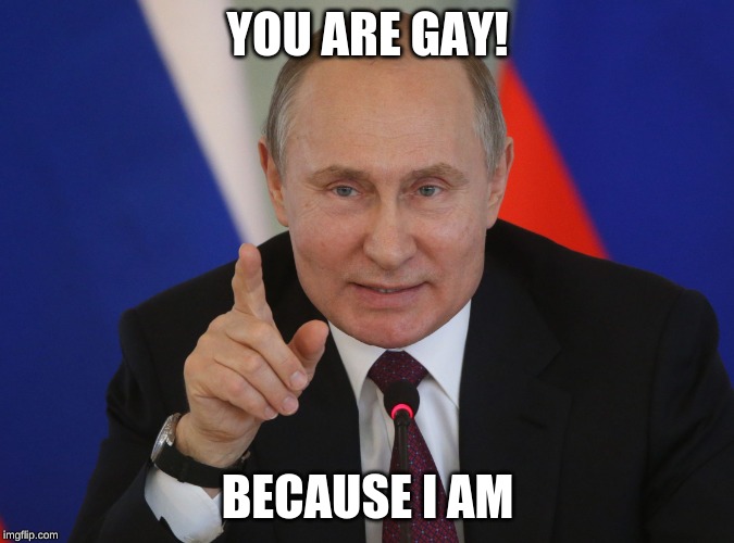 Gay | YOU ARE GAY! BECAUSE I AM | image tagged in putin,memes,funny | made w/ Imgflip meme maker