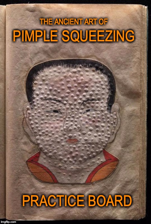 No Experience Necessary | THE ANCIENT ART OF; PIMPLE SQUEEZING; PRACTICE BOARD | image tagged in pimples zero,squeeze,target practice | made w/ Imgflip meme maker