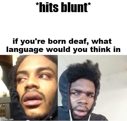 hits blunt  | *hits blunt*; if you're born deaf, what language would you think in | image tagged in hits blunt | made w/ Imgflip meme maker
