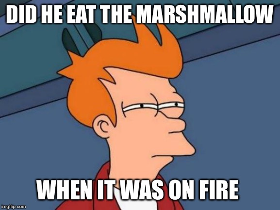 Futurama Fry Meme | DID HE EAT THE MARSHMALLOW WHEN IT WAS ON FIRE | image tagged in memes,futurama fry | made w/ Imgflip meme maker