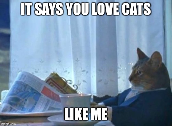 Cat newspaper | IT SAYS YOU LOVE CATS LIKE ME | image tagged in cat newspaper | made w/ Imgflip meme maker