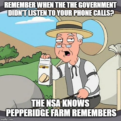Pepperidge Farm Remembers Meme | REMEMBER WHEN THE THE GOVERNMENT DIDN'T LISTEN TO YOUR PHONE CALLS? THE NSA KNOWS PEPPERIDGE FARM REMEMBERS | image tagged in memes,pepperidge farm remembers | made w/ Imgflip meme maker