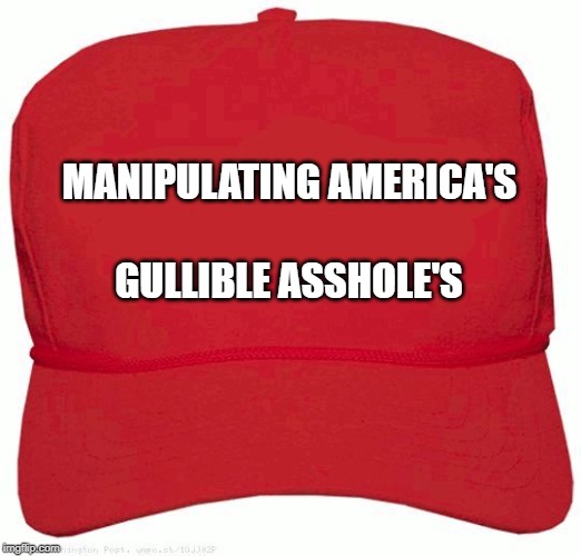 Red Hat | MANIPULATING AMERICA'S; GULLIBLE ASSHOLE'S | image tagged in red hat | made w/ Imgflip meme maker