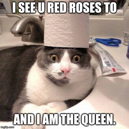 cats in the sink | I SEE U RED ROSES TO; AND I AM THE QUEEN. | image tagged in cats in the sink | made w/ Imgflip meme maker