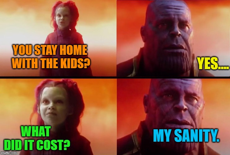 thanos what did it cost | YOU STAY HOME WITH THE KIDS? YES.... WHAT DID IT COST? MY SANITY. | image tagged in thanos what did it cost | made w/ Imgflip meme maker