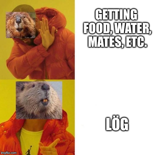 Beaver like lög | GETTING FOOD, WATER, MATES, ETC. LÖG | image tagged in beaver,drake meme,memes,funny,wood,log | made w/ Imgflip meme maker