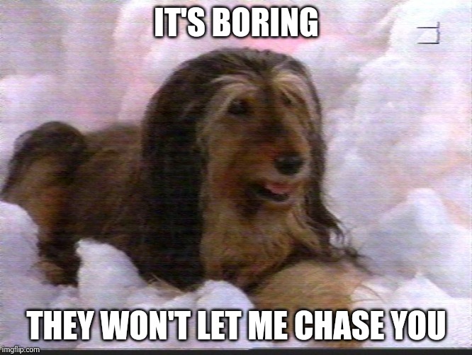 IT'S BORING THEY WON'T LET ME CHASE YOU | made w/ Imgflip meme maker