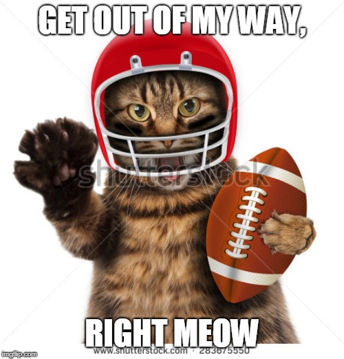 Sports | GET OUT OF MY WAY, RIGHT MEOW | image tagged in sports | made w/ Imgflip meme maker