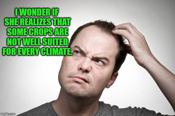 confused | I WONDER IF SHE REALIZES THAT SOME CROPS ARE NOT WELL SUITED FOR EVERY CLIMATE. | image tagged in confused | made w/ Imgflip meme maker