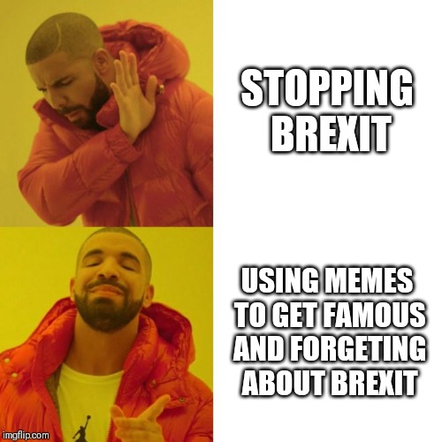 Drake Blank | STOPPING BREXIT; USING MEMES TO GET FAMOUS AND FORGETING ABOUT BREXIT | image tagged in drake blank | made w/ Imgflip meme maker