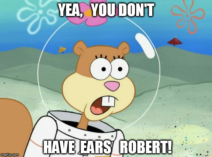Spongebob told  Sandy,  he  can't   Hear  her. | YEA,   YOU DON'T; HAVE  EARS   ROBERT! | image tagged in spongebob,i,cant,hear sandy | made w/ Imgflip meme maker
