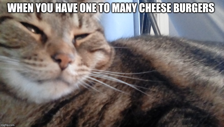 WHEN YOU HAVE ONE TO MANY CHEESE BURGERS | image tagged in 1 | made w/ Imgflip meme maker