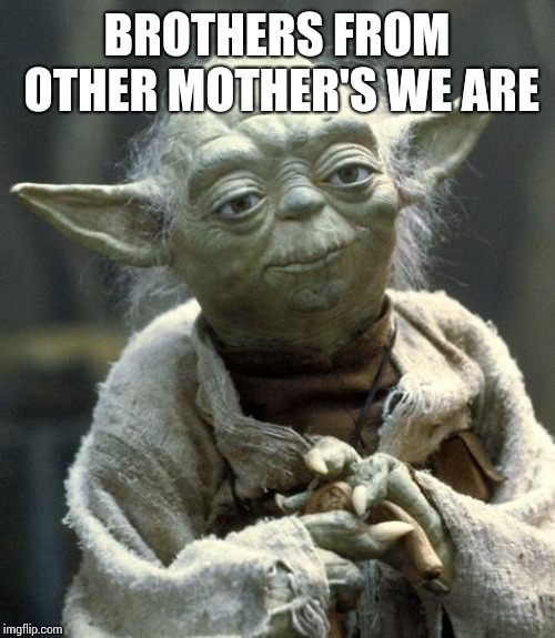 yoda | BROTHERS FROM OTHER MOTHER'S WE ARE | image tagged in yoda | made w/ Imgflip meme maker