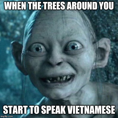 Gollum | WHEN THE TREES AROUND YOU; START TO SPEAK VIETNAMESE | image tagged in memes,gollum | made w/ Imgflip meme maker