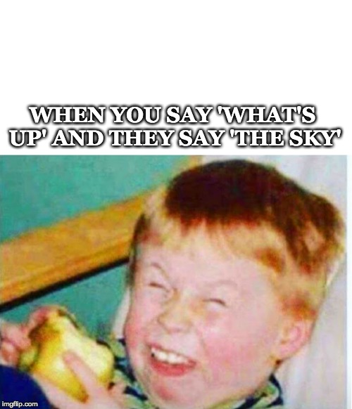 har har | WHEN YOU SAY 'WHAT'S UP' AND THEY SAY 'THE SKY' | image tagged in sarcastic,laugh | made w/ Imgflip meme maker