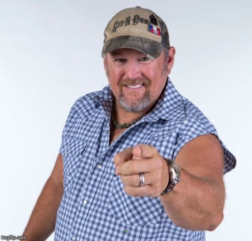 Larry the Cable Guy | NOW, THAT'S FUNNY! | image tagged in larry the cable guy | made w/ Imgflip meme maker