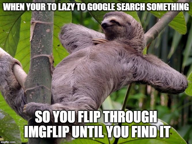 Lazy Sloth | WHEN YOUR TO LAZY TO GOOGLE SEARCH SOMETHING SO YOU FLIP THROUGH IMGFLIP UNTIL YOU FIND IT | image tagged in lazy sloth | made w/ Imgflip meme maker