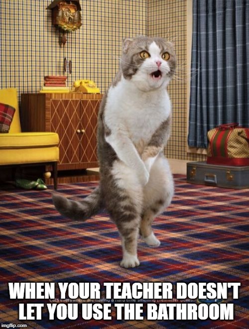 Gotta Go Cat | WHEN YOUR TEACHER DOESN'T LET YOU USE THE BATHROOM | image tagged in memes,gotta go cat | made w/ Imgflip meme maker
