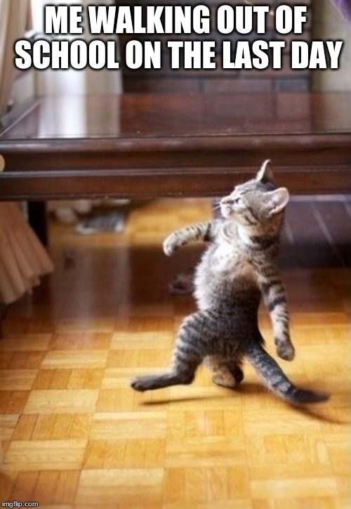 Cool Cat Stroll Meme | ME WALKING OUT OF SCHOOL ON THE LAST DAY | image tagged in memes,cool cat stroll | made w/ Imgflip meme maker