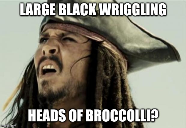 confused dafuq jack sparrow what | LARGE BLACK WRIGGLING HEADS OF BROCCOLLI? | image tagged in confused dafuq jack sparrow what | made w/ Imgflip meme maker