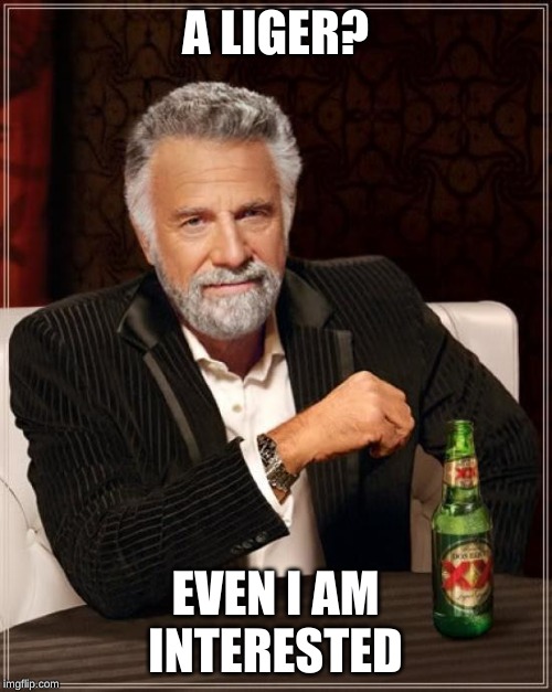 The Most Interesting Man In The World Meme | A LIGER? EVEN I AM INTERESTED | image tagged in memes,the most interesting man in the world | made w/ Imgflip meme maker