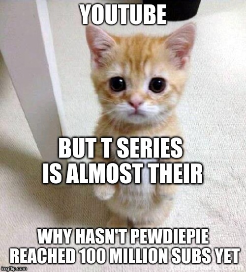 battle for number one of youtude | BUT T SERIES IS ALMOST THEIR | image tagged in youtube,pewdiepie,9yearoldamry,100mill | made w/ Imgflip meme maker