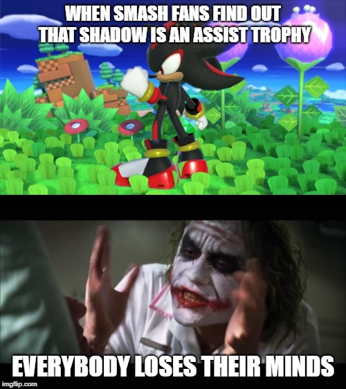 WHEN SMASH FANS FIND OUT THAT SHADOW IS AN ASSIST TROPHY; EVERYBODY LOSES THEIR MINDS | image tagged in memes,and everybody loses their minds | made w/ Imgflip meme maker