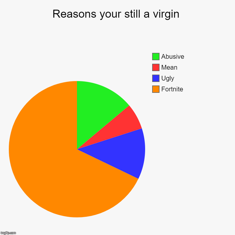Reasons your still a virgin | Fortnite, Ugly, Mean, Abusive | image tagged in charts,pie charts | made w/ Imgflip chart maker