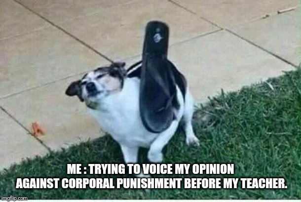 ME : TRYING TO VOICE MY OPINION AGAINST CORPORAL PUNISHMENT BEFORE MY TEACHER. | made w/ Imgflip meme maker