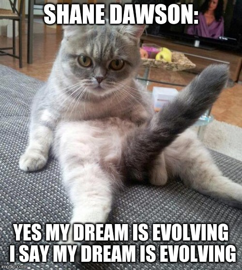 Sexy Cat | SHANE DAWSON:; YES MY DREAM IS EVOLVING I SAY MY DREAM IS EVOLVING | image tagged in memes,sexy cat | made w/ Imgflip meme maker