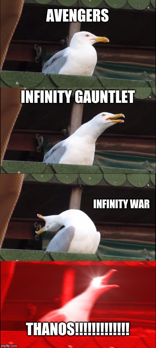 Inhaling Seagull | AVENGERS; INFINITY GAUNTLET; INFINITY WAR; THANOS!!!!!!!!!!!!! | image tagged in memes,inhaling seagull | made w/ Imgflip meme maker
