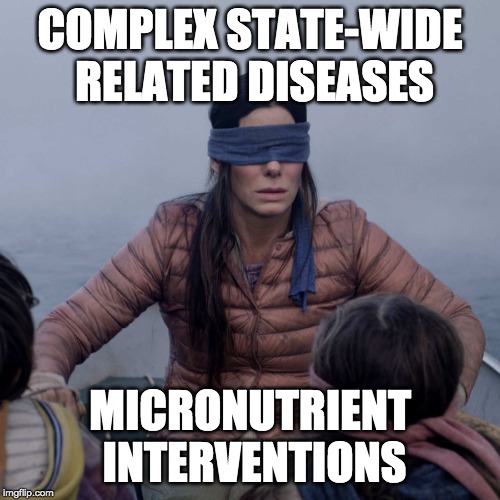 Bird Box Meme | COMPLEX STATE-WIDE RELATED DISEASES; MICRONUTRIENT INTERVENTIONS | image tagged in memes,bird box | made w/ Imgflip meme maker