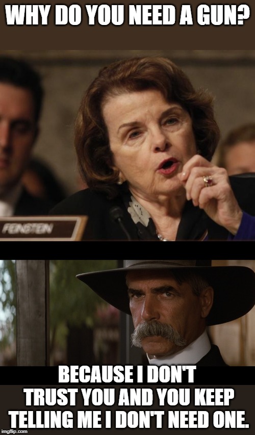 If the government says you don't need a gun, go out and buy two. | WHY DO YOU NEED A GUN? BECAUSE I DON'T TRUST YOU AND YOU KEEP TELLING ME I DON'T NEED ONE. | image tagged in feinstein,sam elliott serious | made w/ Imgflip meme maker