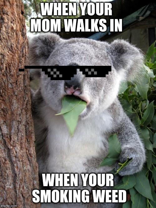 Surprised Koala | WHEN YOUR MOM WALKS IN; WHEN YOUR SMOKING WEED | image tagged in memes,surprised koala | made w/ Imgflip meme maker