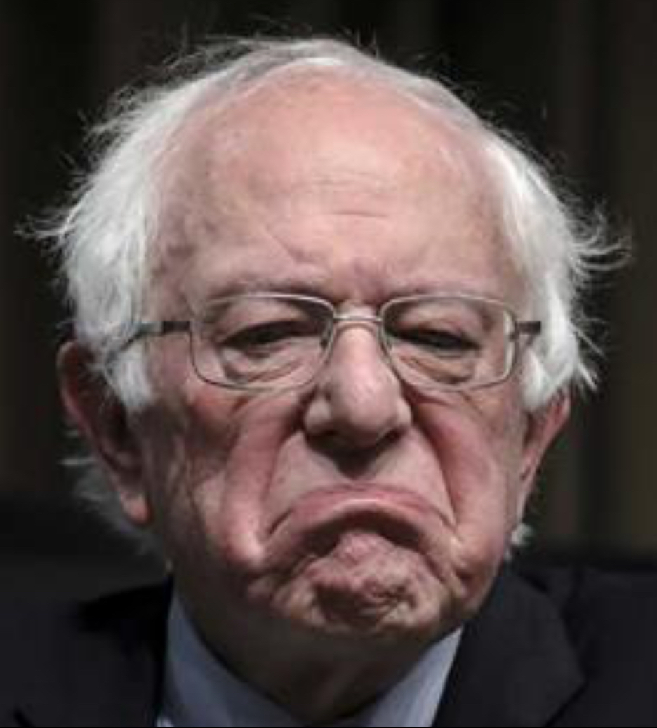 High Quality Bernie frown Blank Meme Template