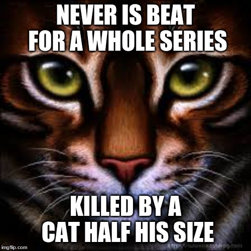 Tigerstar  | NEVER IS BEAT FOR A WHOLE SERIES; KILLED BY A CAT HALF HIS SIZE | image tagged in tigerstar | made w/ Imgflip meme maker