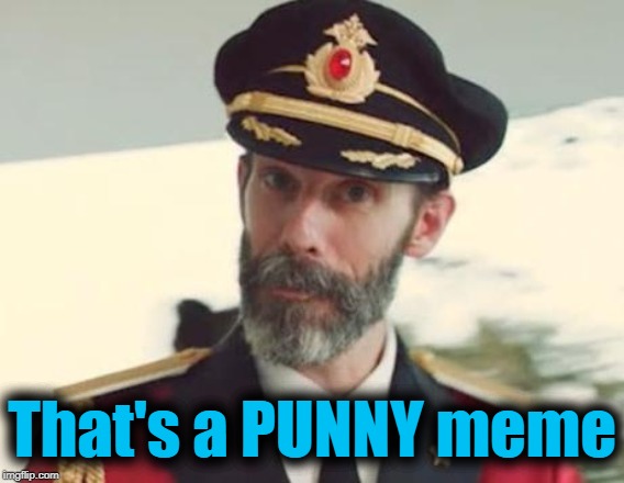 Captain Obvious | That's a PUNNY meme | image tagged in captain obvious | made w/ Imgflip meme maker