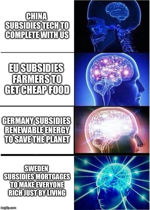 Expanding Brain Meme | CHINA SUBSIDIES TECH TO COMPLETE WITH US; EU SUBSIDIES FARMERS TO GET CHEAP FOOD; GERMANY SUBSIDIES RENEWABLE ENERGY TO SAVE THE PLANET; SWEDEN SUBSIDIES MORTGAGES TO MAKE EVERYONE RICH JUST BY LIVING | image tagged in memes,expanding brain | made w/ Imgflip meme maker