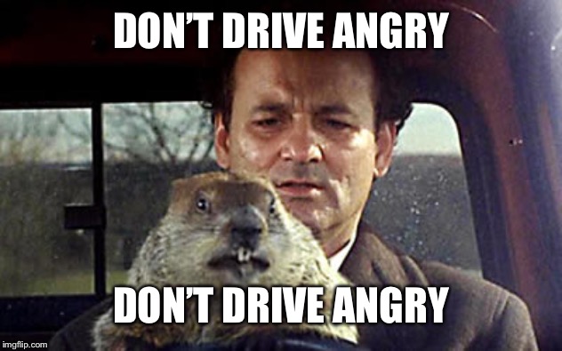Bill Murray day groundhogies |  DON’T DRIVE ANGRY; DON’T DRIVE ANGRY | image tagged in bill murray day groundhogies | made w/ Imgflip meme maker