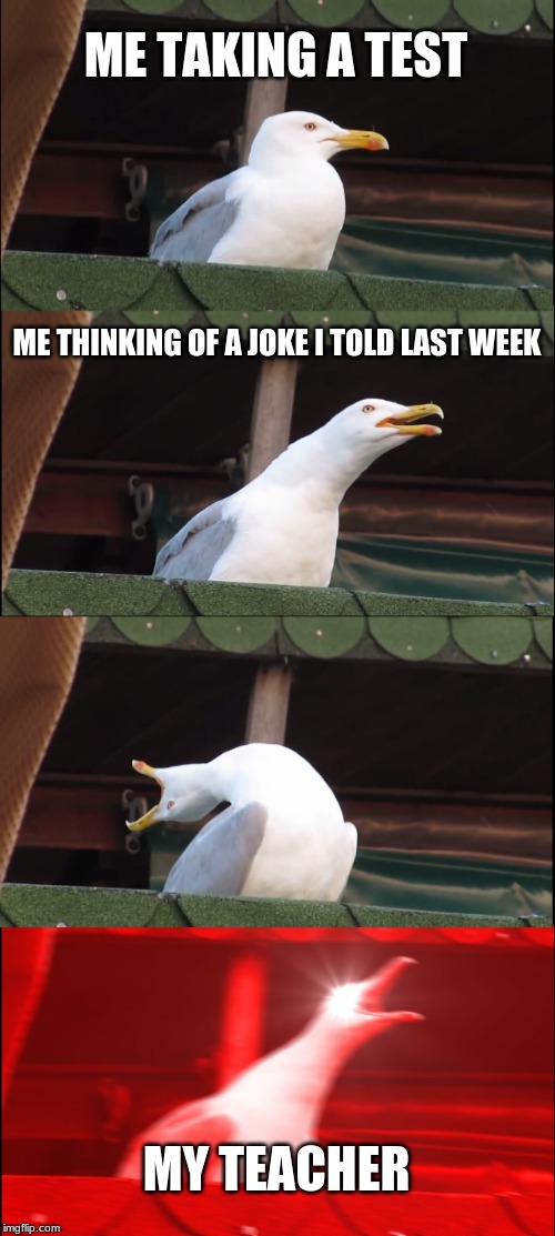 Inhaling Seagull Meme | ME TAKING A TEST; ME THINKING OF A JOKE I TOLD LAST WEEK; MY TEACHER | image tagged in memes,inhaling seagull | made w/ Imgflip meme maker