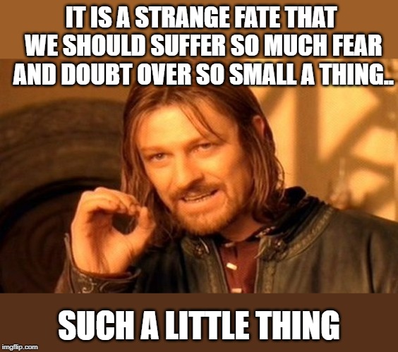 One Does Not Simply Meme | IT IS A STRANGE FATE THAT WE SHOULD SUFFER SO MUCH FEAR AND DOUBT OVER SO SMALL A THING.. SUCH A LITTLE THING | image tagged in memes,one does not simply | made w/ Imgflip meme maker