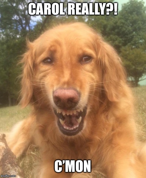 Awkward dog face | CAROL REALLY?! C’MON | image tagged in awkward dog face | made w/ Imgflip meme maker