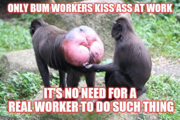 Jroc113 | ONLY BUM WORKERS KISS ASS AT WORK; IT'S NO NEED FOR A REAL WORKER TO DO SUCH THING | image tagged in company driver | made w/ Imgflip meme maker